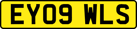 EY09WLS