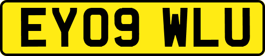 EY09WLU