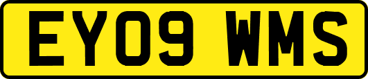EY09WMS