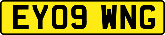 EY09WNG