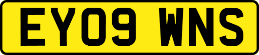 EY09WNS