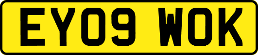 EY09WOK