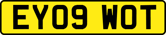 EY09WOT