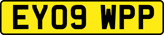 EY09WPP