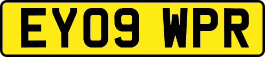 EY09WPR