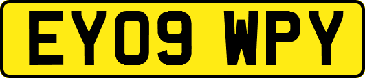 EY09WPY