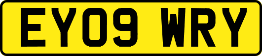 EY09WRY