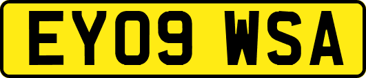 EY09WSA