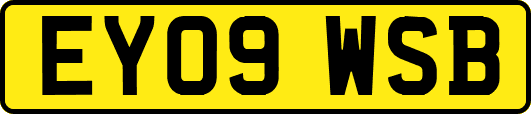 EY09WSB