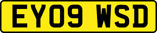 EY09WSD