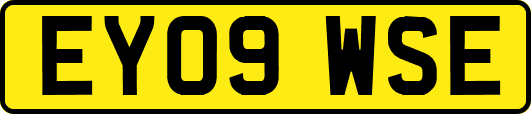 EY09WSE