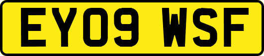 EY09WSF