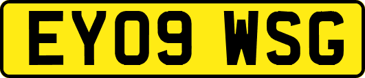 EY09WSG