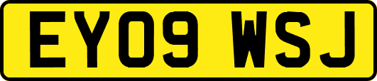 EY09WSJ