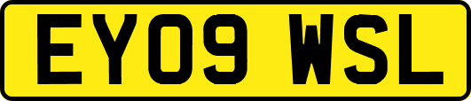 EY09WSL