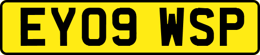 EY09WSP