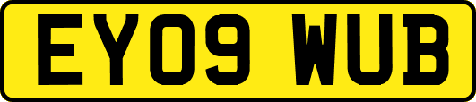 EY09WUB