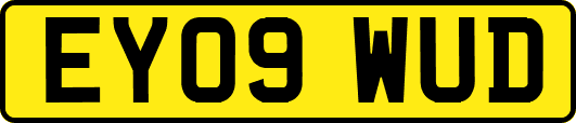 EY09WUD