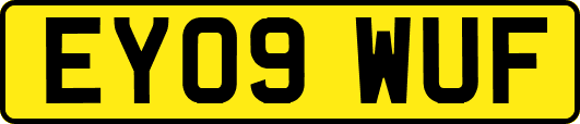 EY09WUF