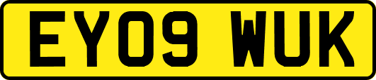 EY09WUK