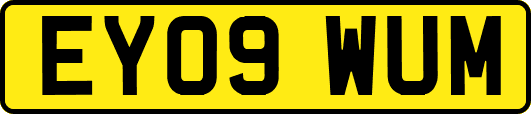 EY09WUM