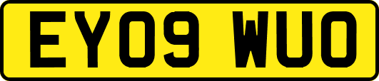 EY09WUO