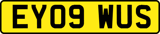 EY09WUS