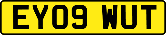 EY09WUT