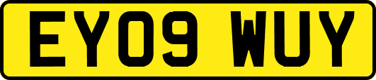 EY09WUY