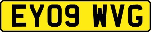 EY09WVG