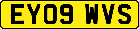 EY09WVS