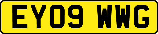 EY09WWG