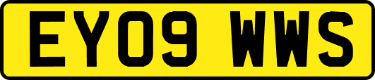 EY09WWS