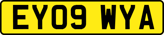 EY09WYA