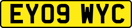 EY09WYC