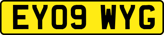 EY09WYG