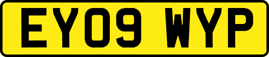 EY09WYP