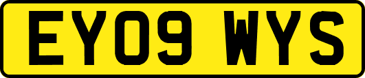 EY09WYS