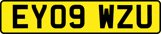 EY09WZU