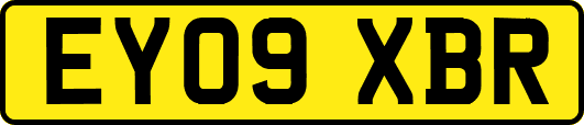 EY09XBR