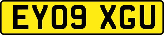EY09XGU