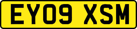 EY09XSM