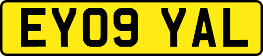 EY09YAL