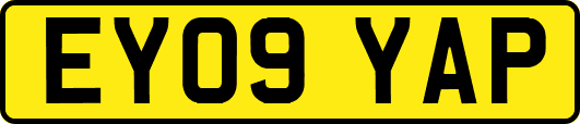 EY09YAP