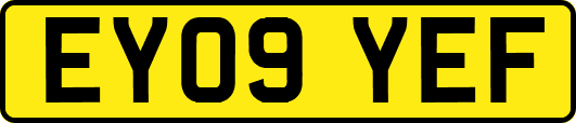 EY09YEF