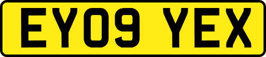 EY09YEX