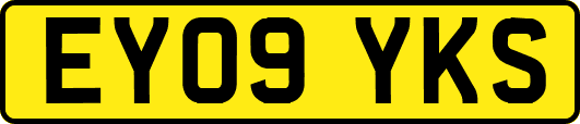 EY09YKS