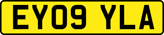 EY09YLA