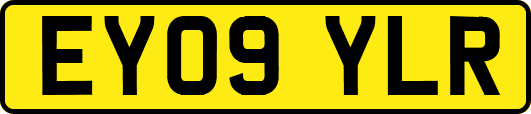 EY09YLR