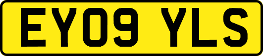 EY09YLS